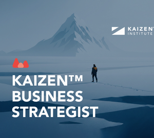 KAIZEN™ Business Strategist